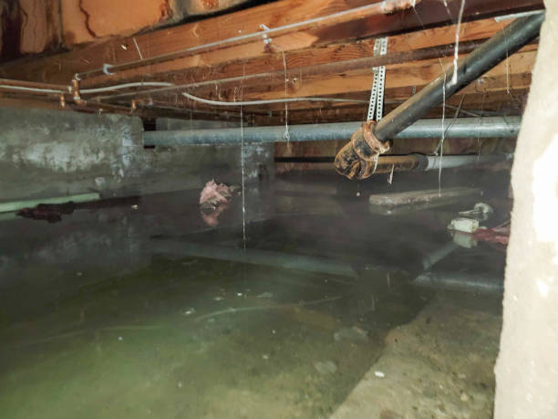 , HI Water damage restoration Company