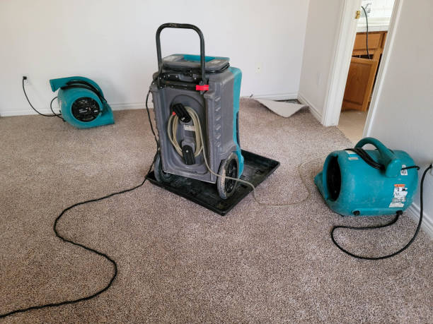 Best Emergency water extraction  in Kapolei, HI