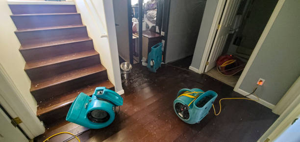 Best 24-hour water damage restoration  in Kapolei, HI