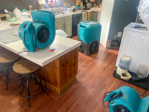 Best Sewage cleanup and water damage restoration  in Kapolei, HI