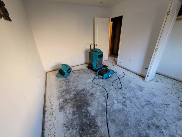 Best Flood restoration services  in Kapolei, HI