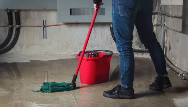 Best Professional water damage repair  in Kapolei, HI