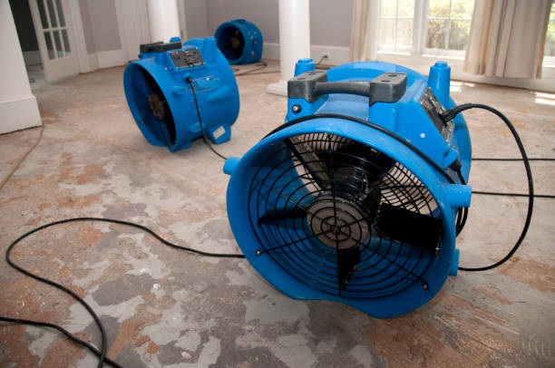Best Ceiling water damage repair  in Kapolei, HI