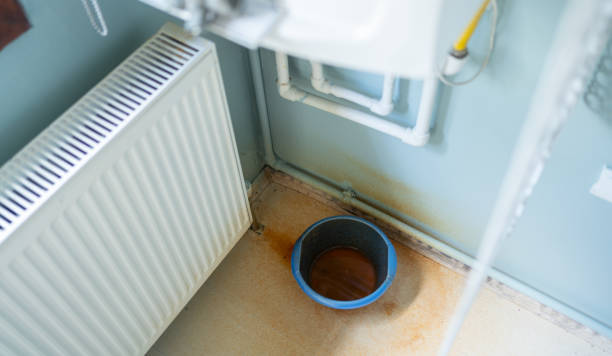 Best Water damage mitigation services  in Kapolei, HI