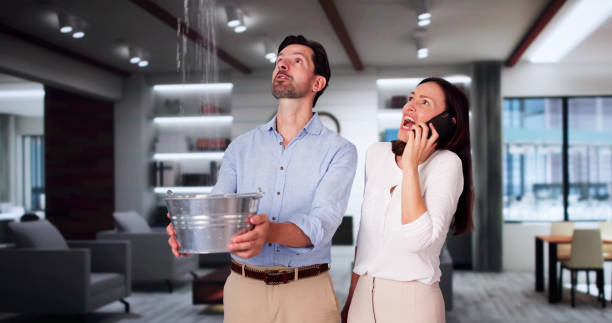 Best Water damage cleanup near me  in Kapolei, HI